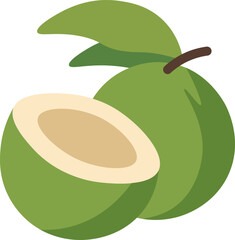 Tropical Coconut Drink Vectors - Green Coconuts Flat Design