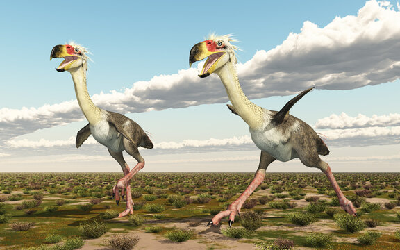 Terrorvogel Phorusrhacos in einer Landschaft