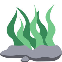 Seaweed Illustration