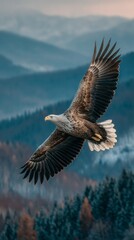 Fototapeta premium An eagle glides gracefully through the air, wings fully extended, against a backdrop of misty mountains and warm sunset hues. The peaceful setting captures nature's beauty