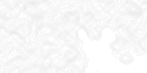 Seamless pattern with lines White wave paper curved reliefs abstract background, Abstract topographic contours map background. Abstract black and white topographic contours line.