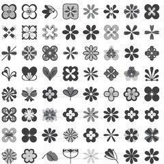 set of floral elements