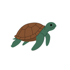 Cute sea turtle illustration with green flippers and a brown shell. Simple flat vector design, isolated on white background, perfect for educational or marine-themed projects. Vector illustration