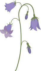 Flowers lilac bells isolated on white background. Cartoon simple vector illustration.