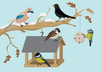 Wooden bird feeder with wild birds in winter. Vector cartoon illustration for kids.
