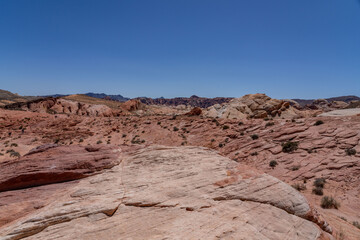 Fire Wave Trail, red Aztec Sandstone outcrops, Early Jurassic geological formation of primarily eolian sand. Valley of Fire State Park, Clark County, Nevada geology. Weathering. 