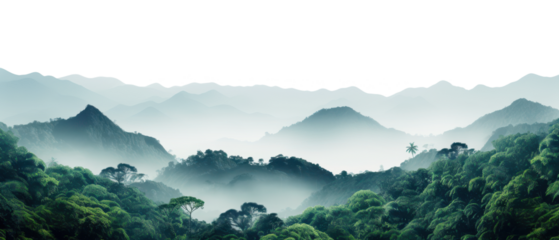 misty mountain landscape with fog panoramic view isolated on white or transparent png