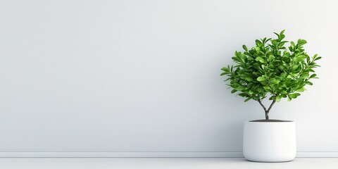 Kids room interior concept. Indoor plant in a modern pot against a minimalist wall backdrop.
