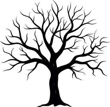 Silhouette of a large leafless tree with twisted and spreading branches black vector illustration representing nature winter or eerie themes on a plain white background