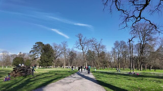 Park path panorama: A sun-kissed park path draws the eye, lined with verdant trees and vibrant life against a bright, cloudless sky, inviting leisurely strolls and moments of tranquil reflection.