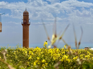Grand Mosque Minaret, Mardin