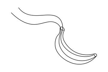 Banana continuous one line drawing minimalist vector design
