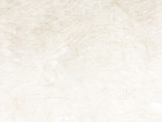 紙の繊維が美しい日本伝統の和紙