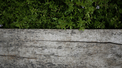 Old Wood Texture with Green Plants and Flowers