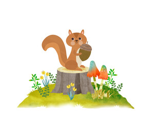 リスとドングリ © saito