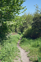 łąkowa ścieżka,ścieżka 
