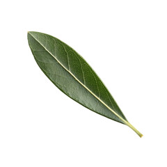 Obraz premium Green Leaf: A vibrant, macro shot of a single, fresh green leaf, its intricate veins and vibrant hue showcasing the beauty of nature's artistry.