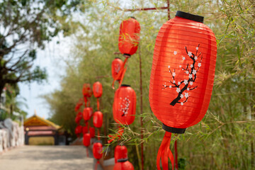 Vibrant red lanterns hang from a pole in a park, creating beauty