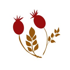
rosehip, pattern, decor, art, symbol, part of the logo, logo, flower