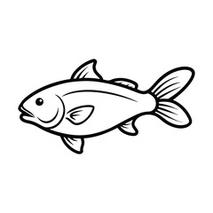 fish isolated on white background