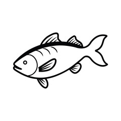 fish isolated on white background