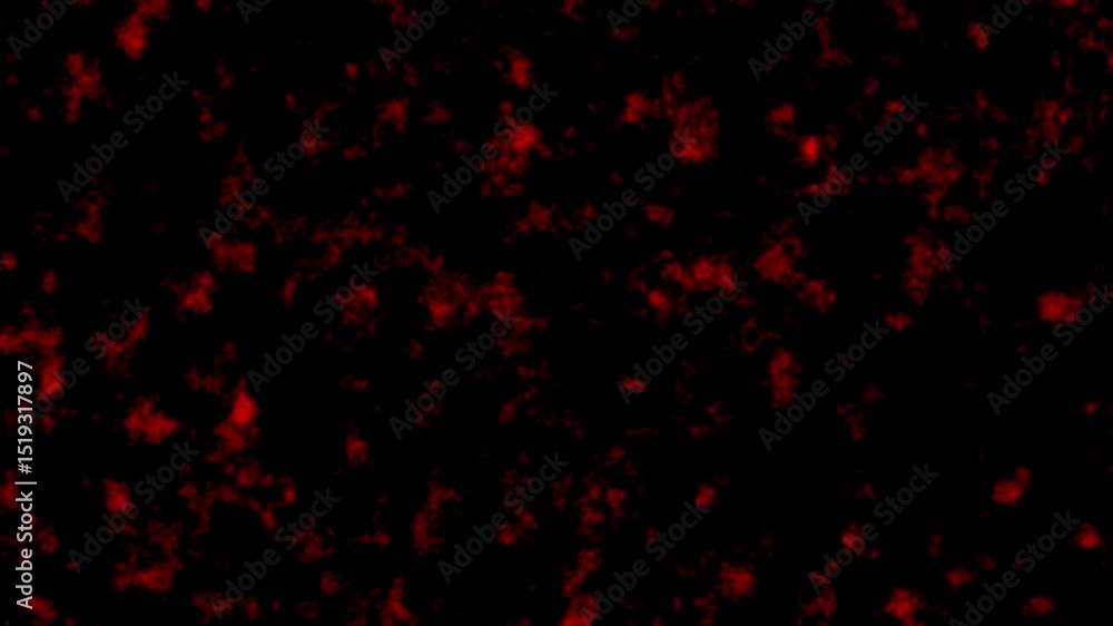 Poster abstract dark red textural background animation for creative visuals and motion graphics with atmosp