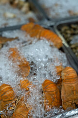 A beautifully arranged fresh seafood display adorned with ice, perfect for culinary presentations