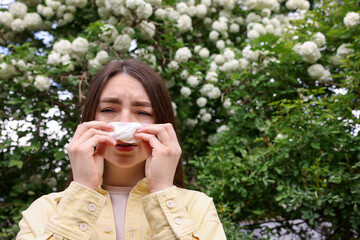 Woman with paper tissue suffering from seasonal pollen allergy near blossoming shrub on spring day,...