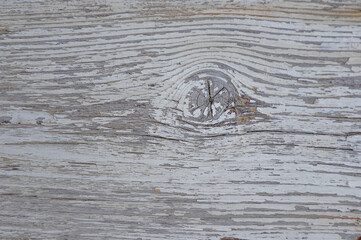 Weathered Wooden Plank with Knots and Peeling White Paint – Rustic Wood Grain Texture