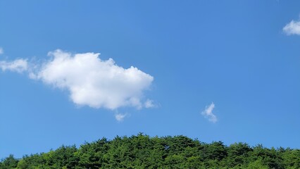 Clear blue sky with afternoon moon, green forest mountains, and peaceful nature scenes captured in South Korea
