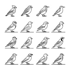 seamless pattern with birds