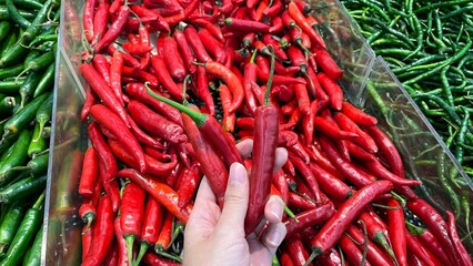 Hand holding red hot peppers