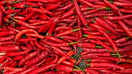 red hot chili pepper