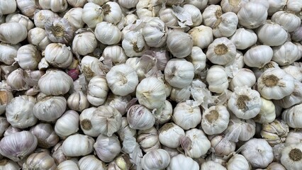 bunch of garlic