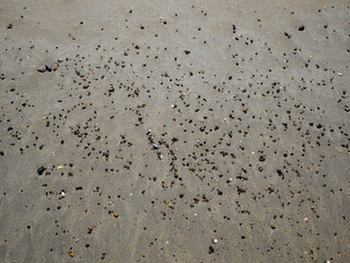 Tiny pebbles are scattered chaotically across the smooth, wet sand