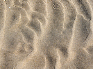 Fine sand is shaped into soft ridges and curves by natural forces
