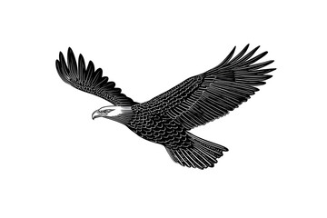 Obraz premium Black and White Illustration of an Eagle in Flight Isolated On White Background