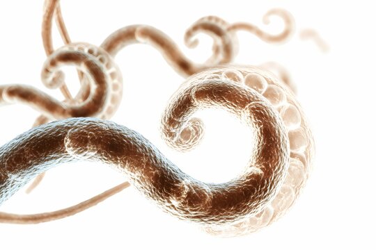 Microscopic pinworm siege: tiny invaders hiding on a white battlefield.