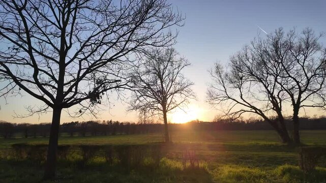 Sunset Serenity: A picturesque scene of bare trees silhouetted against a vibrant sunset. The sky is painted with warm hues of orange and yellow, casting a magical glow over the field.