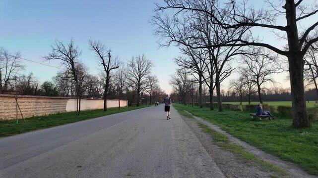 Road Ahead: A lone runner makes their way down a tranquil road, flanked by bare trees. a picture of freedom, movement, and the serenity of an open pathway, a journey, and a destination. 