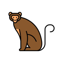 Macaque monkey color line icon for digital and print projects.