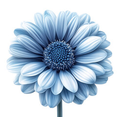 Exquisite Sky Blue Flower with Detailed Petals on a Transparent PNG Image