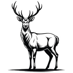 Fototapeta premium deer silhouette vector