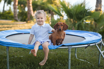 a three year old smiling girl playing with dachshund dog on trampoline in green sunny summer park