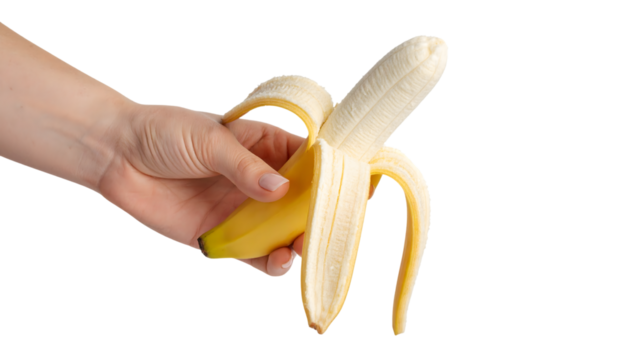 A hand holding a partially peeled banana isolated on transparent background, showcasing the edible fruit
