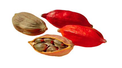 Red and green cardamom pods isolated on transparent background isolated on white background