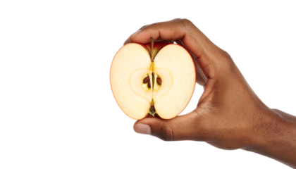 Close up shot of a hand holding a half of a fresh apple isolated on transparent background, showing the inner details