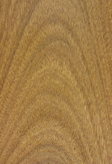 texture of wood. wooden board.valuable raw, solid, lumber.. Cerejeira, Amburana, Ishpingo, Roble, view from above. vertical texture.