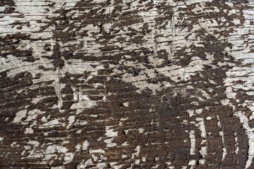 Background and texture of old oak board painted with cracked brown paint, closeup. Surface eroded by time, old wooden plank