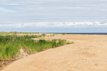 A tranquil sandy beach with patches of lush green vegetation